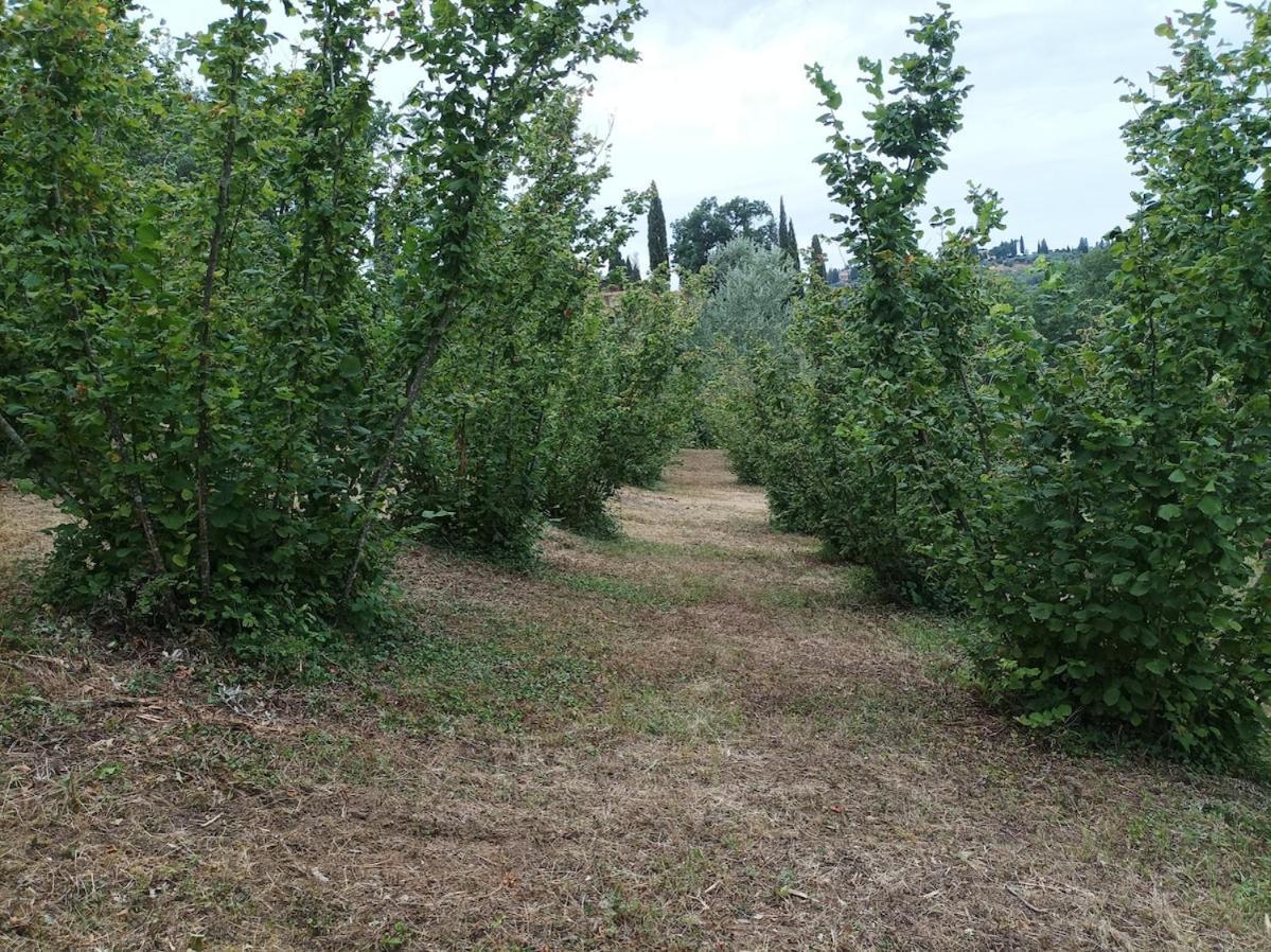 Agriturismo Il Bagnano Черталдо Екстериор снимка